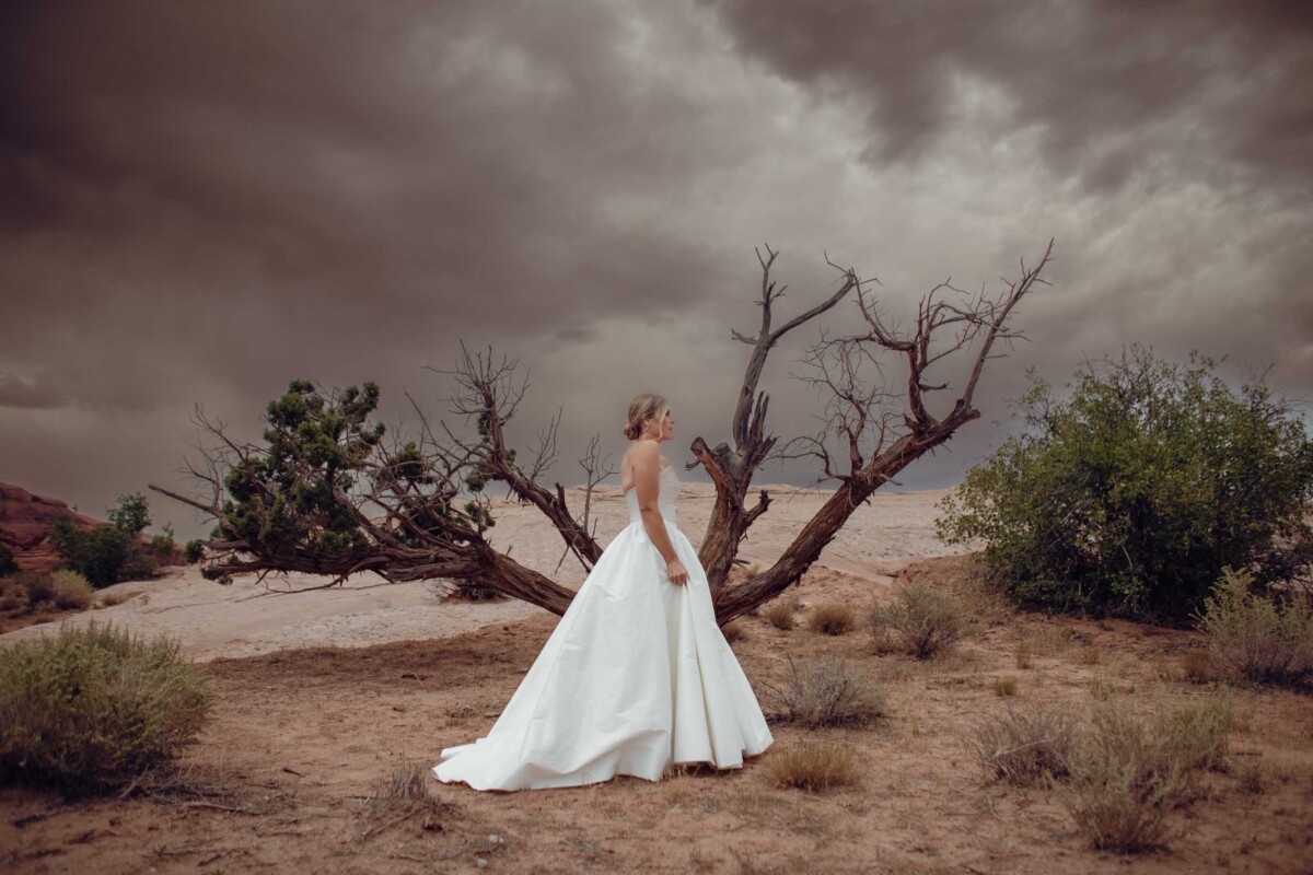 Bride in wedding gown standing near a barren tree in desert landscape.