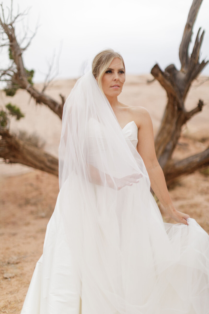 Elegant bride in a white wedding gown with veil in desert landscape.