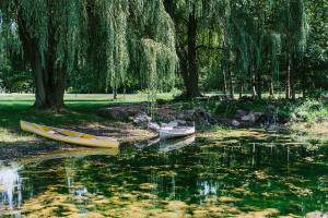 Willow Pond Wedding