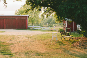 Outdoor Summer Wedding