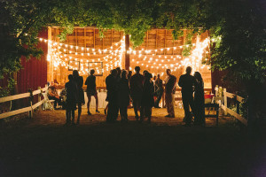 Willow Pond Wedding Photo