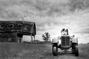 Farm Engagement with Barn and tractor photo