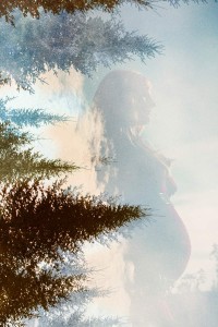 double exposure of pine trees with pregnant bump photo maternity pics