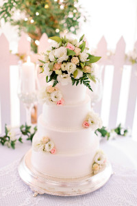 Wedding Cakes Wisconsin Medford