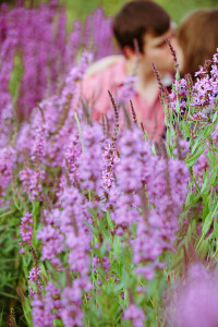 Kissing in a field engagement photo ideas