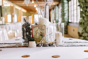 Winter Wedding idea photo