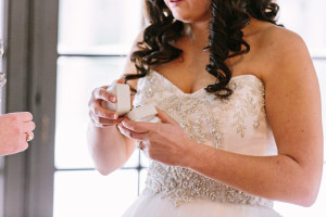 Rothschild Pavilion Wausau Wedding Photo