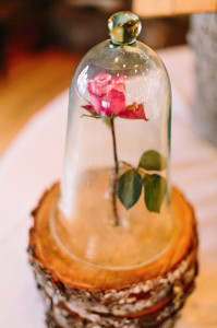 Rothschild Pavilion Wausau Wedding Photo