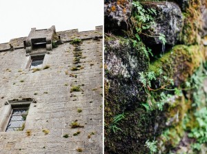 Ireland Travel photos