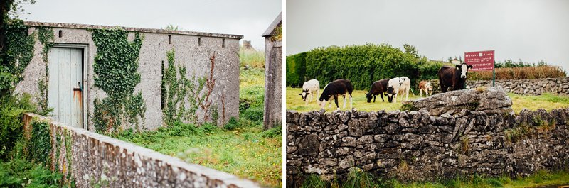 Irish Landscape Photography 