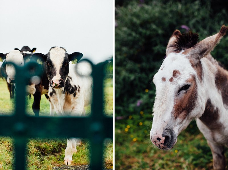 VSCO-FILM-05-ARCHETYPE-IRELAND-07