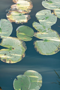 Rustic Fall outdoor Wisconsin Wedding
