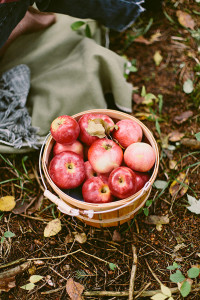 Central Wisconsin Outdoor Wedding inspiration photos