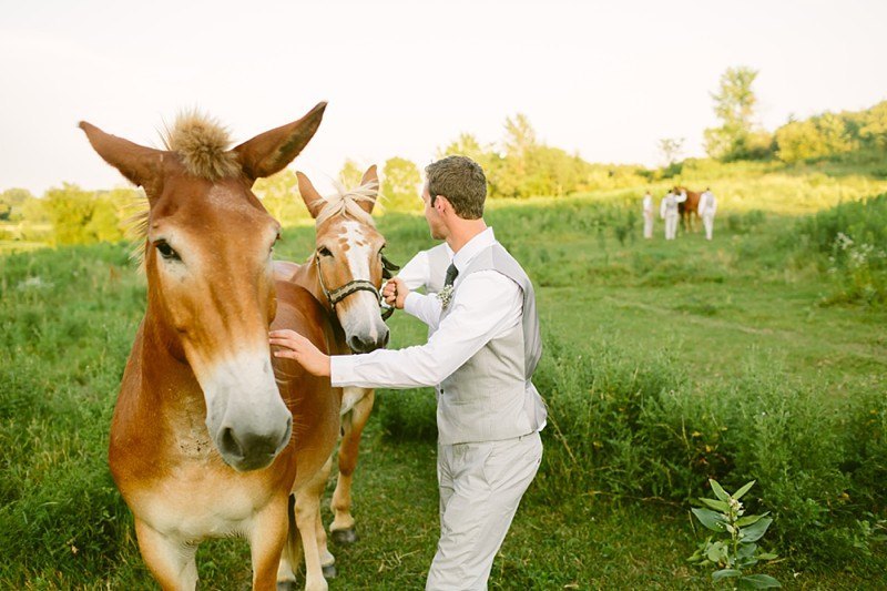 the enchanted barn in hillsdale wisconsin