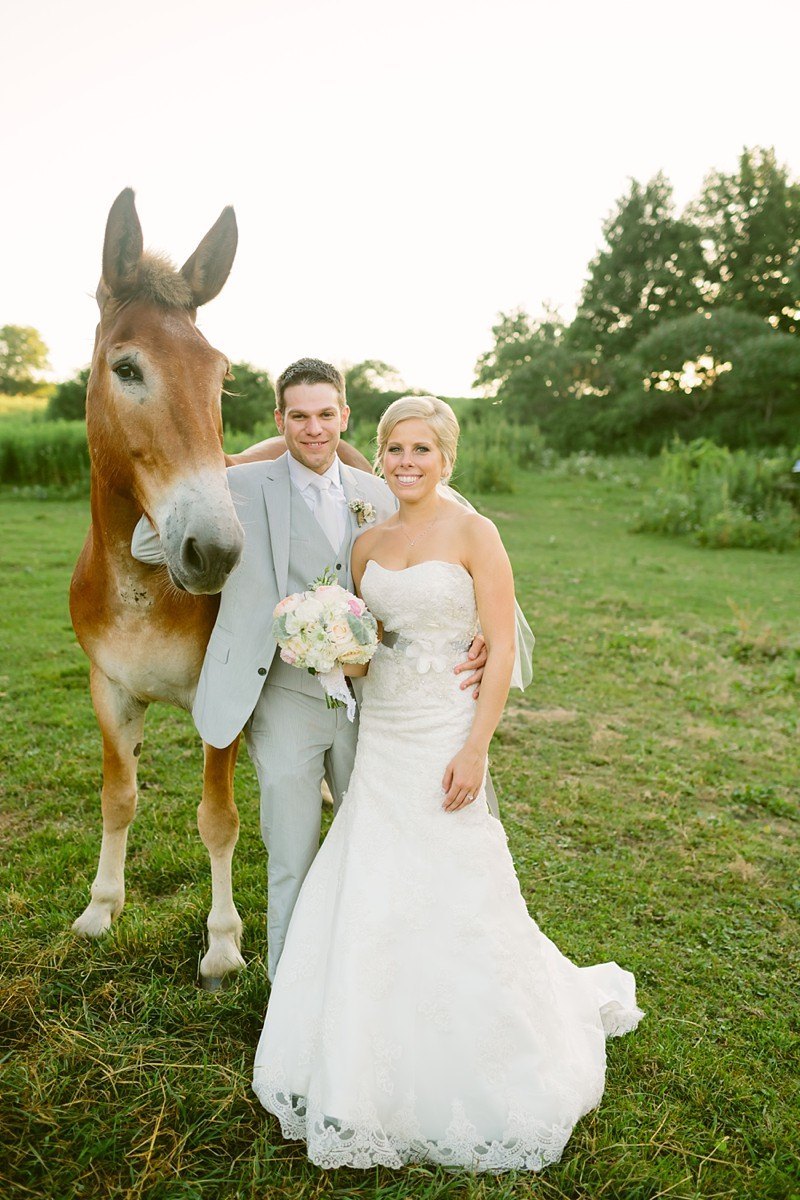 the enchanted barn in hillsdale wisconsin