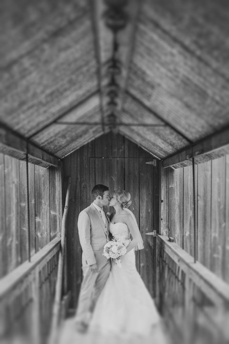 enchanted barn wedding photos of bride and groom on bridge 