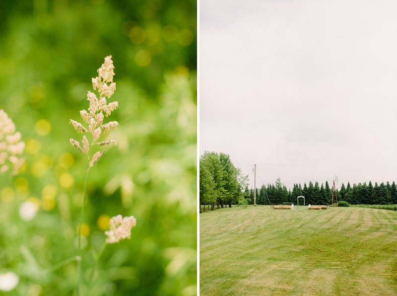 Backyard Wisconsin Wedding 