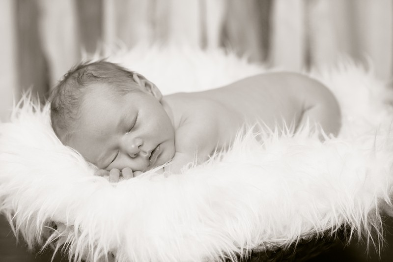 wausau area newborn photographer 