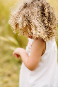 photos taken in wheat field