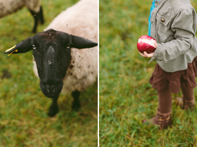 photos on the farm