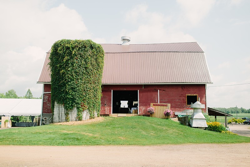 munson-bridge-winery-outdoor-wedding-in-wisconsin-photos-021