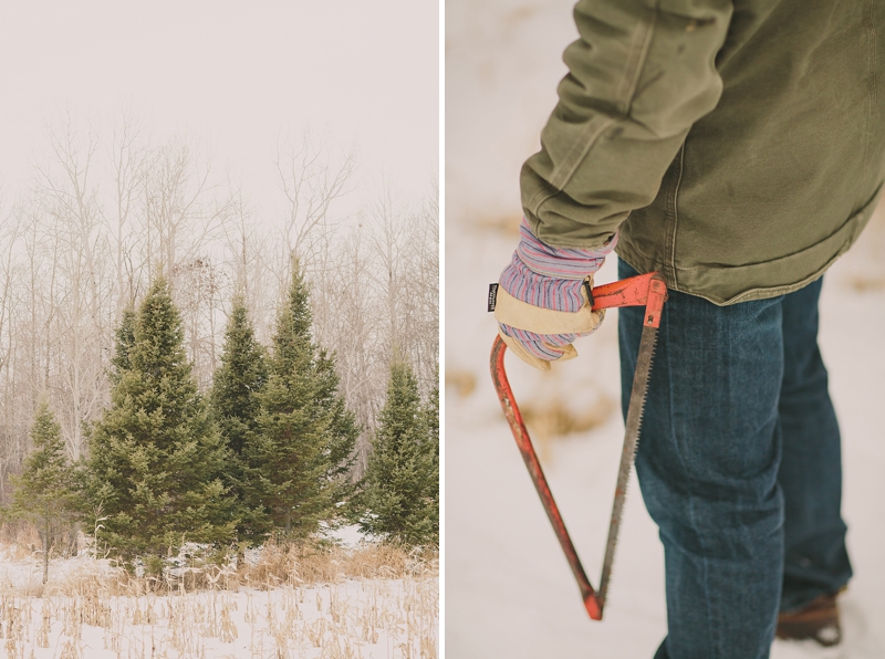 christmas-tree-cutting-couples-dogs-photoshoot-james-stokes-photography-northern-wisconsin-07