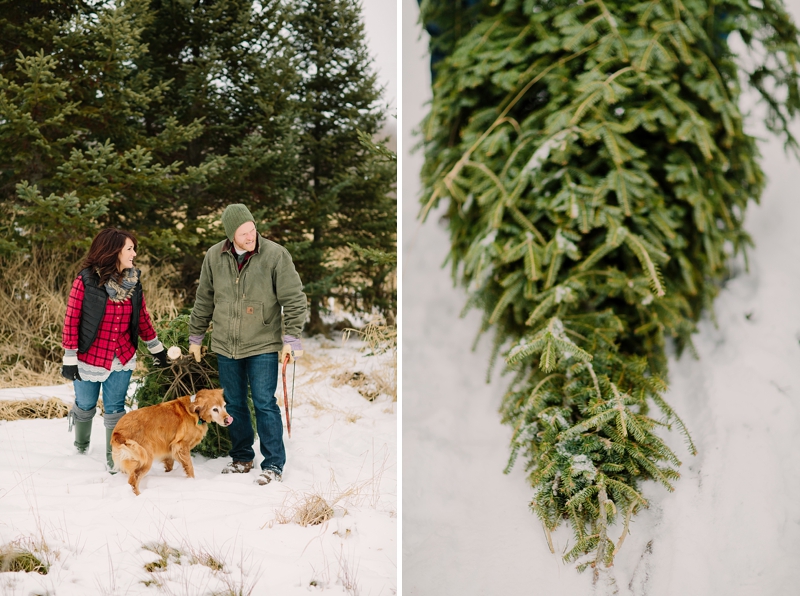 christmas-tree-cutting-couples-dogs-photoshoot-james-stokes-photography-northern-wisconsin-11