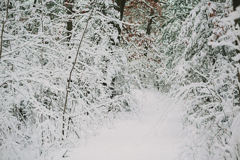 lifestyle play session winter snow 