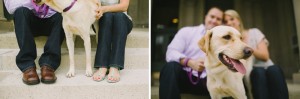 Madison Wedding & Portrait Photographers