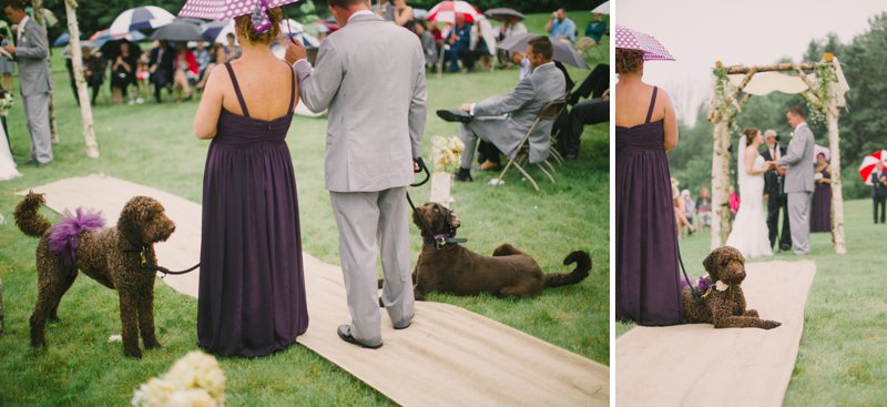 Northern Wisconsin Rustic Outdoor Wedding Photographers