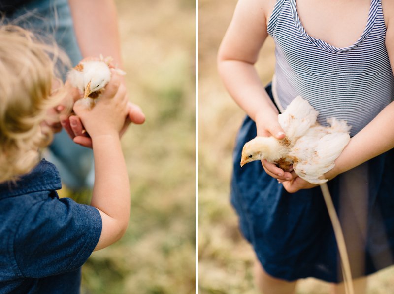 Family Farm photos chickens & kids
