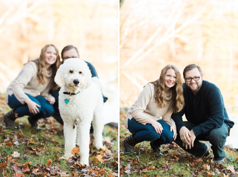 Photos in the northwoods of wisconsin dock cabin golden doodle