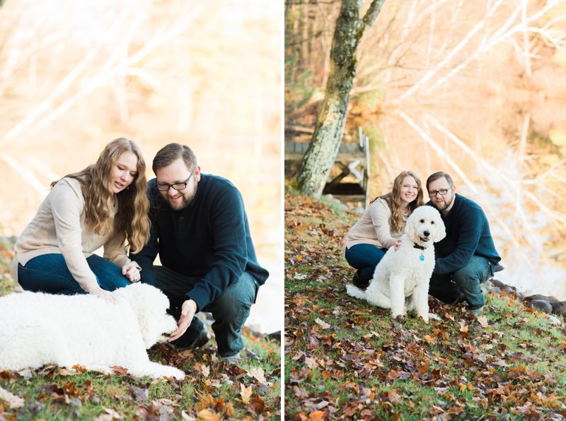 Photos in the northwoods of wisconsin dock cabin golden doodle