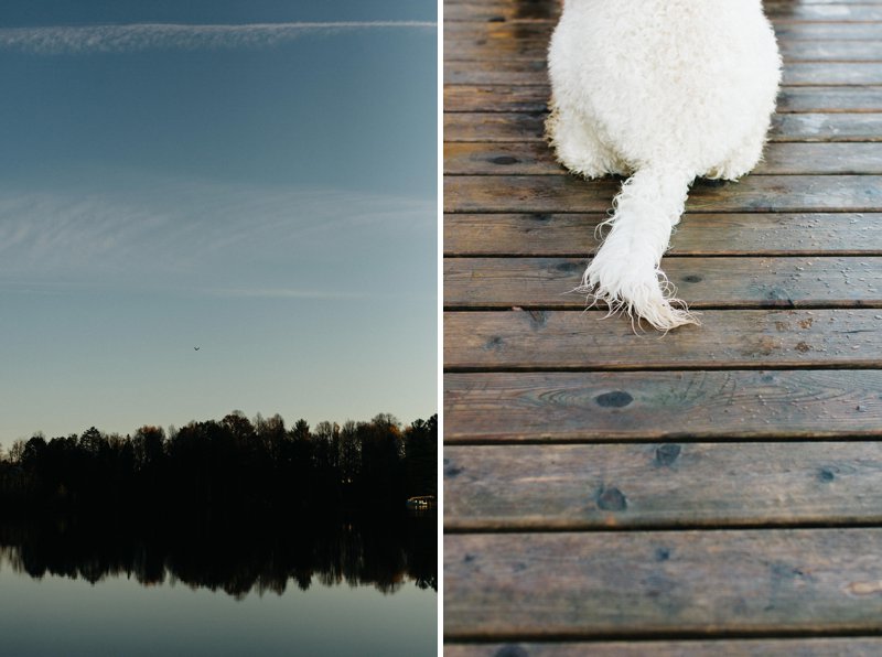 Photos in the northwoods of wisconsin dock cabin golden doodle