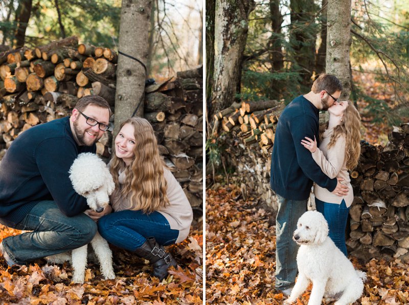 Photos in the northwoods of wisconsin dock cabin golden doodle