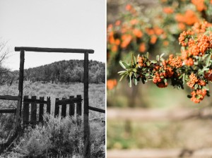 Arizona Wisconsin Portrait and Wedding Photographer