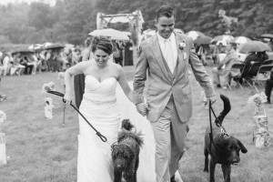 dogs at wedding bride and groom