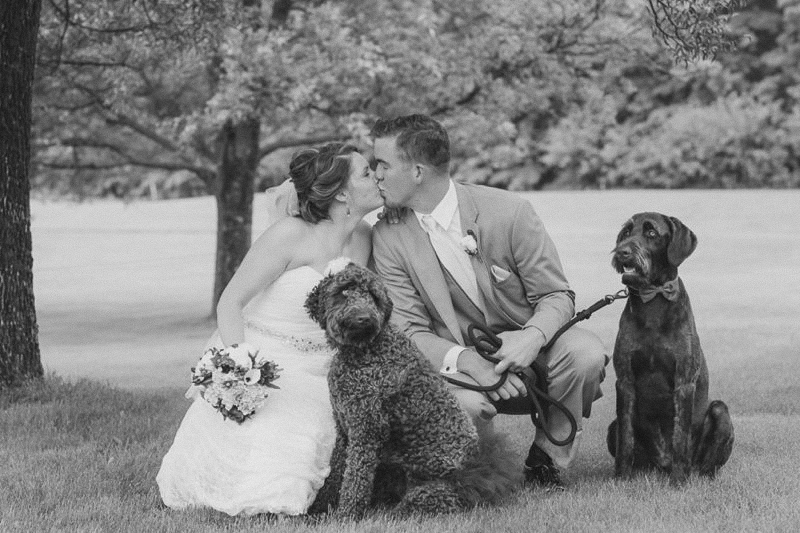 Bride and Groom with Dogs at wedding