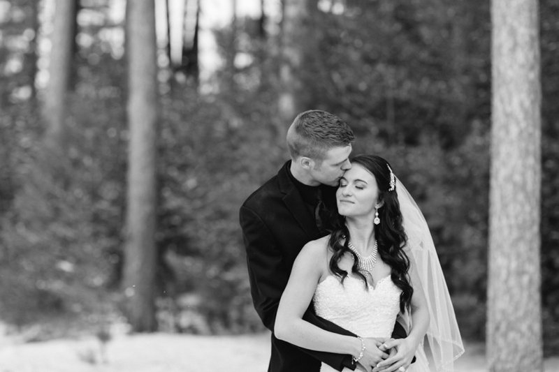 21-wausau-wisconsin-wedding-photographer-winter-rothschild-pavillion-photo