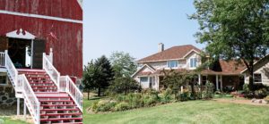 Wisconsin Backyard Weddings