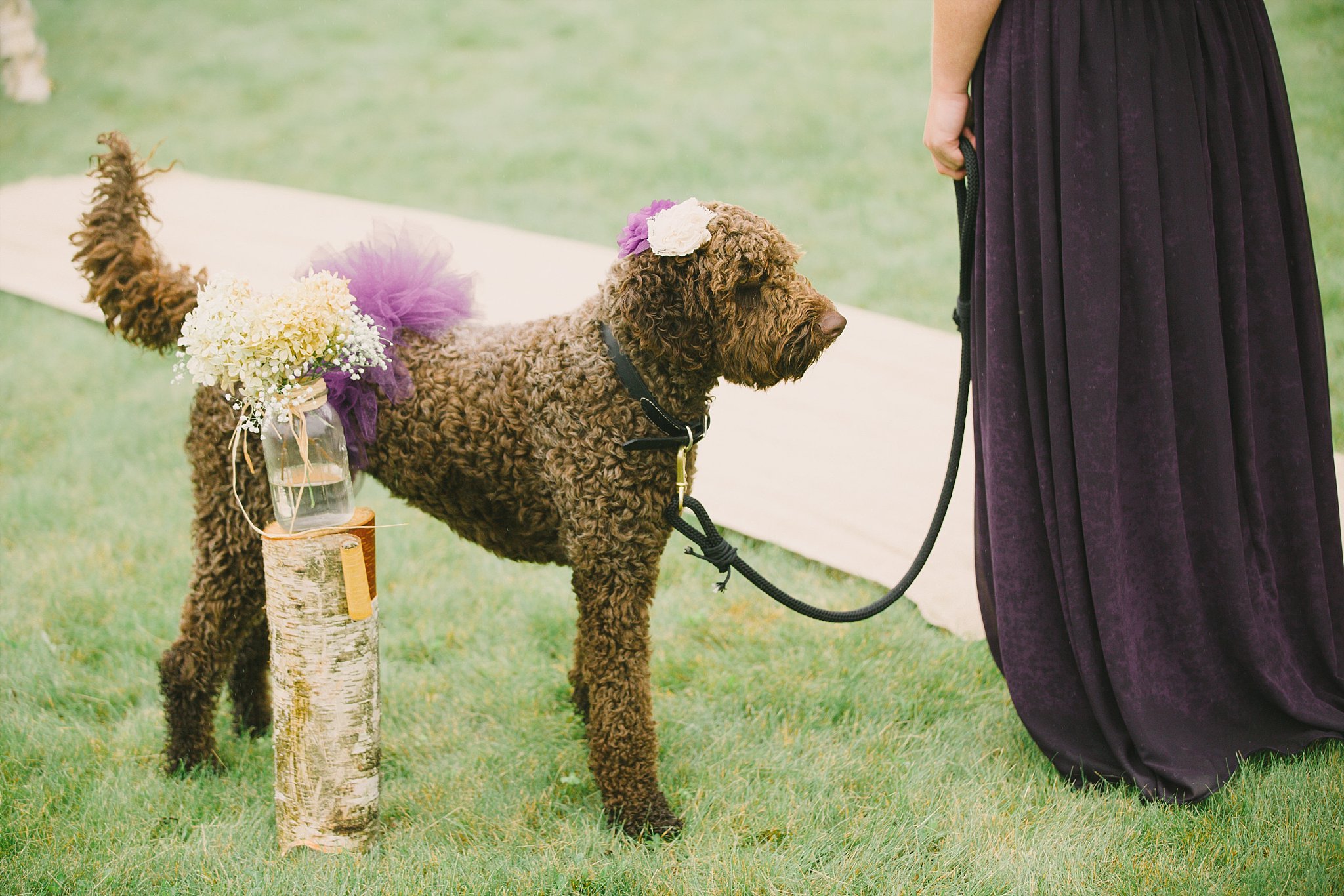 backyard wedding inspiration