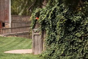 Wisconsin farm wedding photos - James Stokes