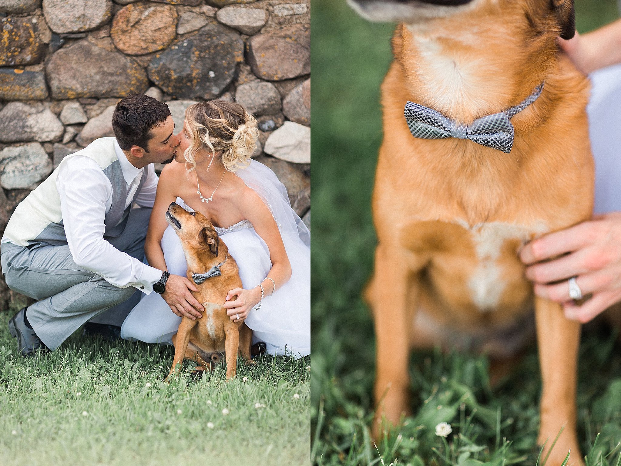 wedding photos with dogs -  James Stokes