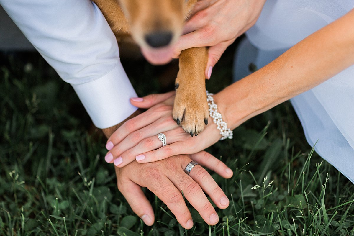 wedding photos with dogs - James Stokes