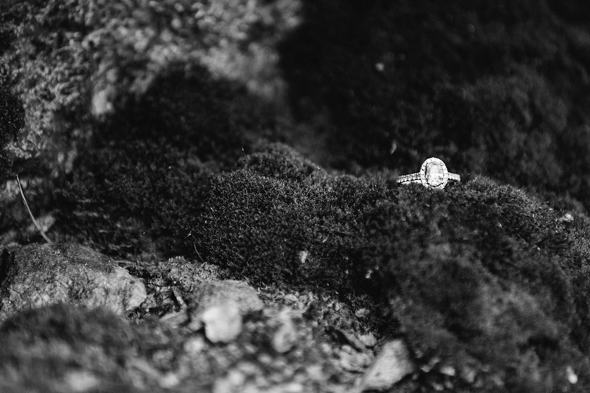 Engagement ring photo - Wisconsin photographer