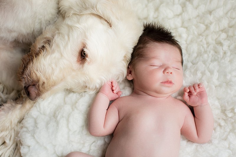 newborn photos with dog - Wisconsin newborn photographer - James Stokes Photography