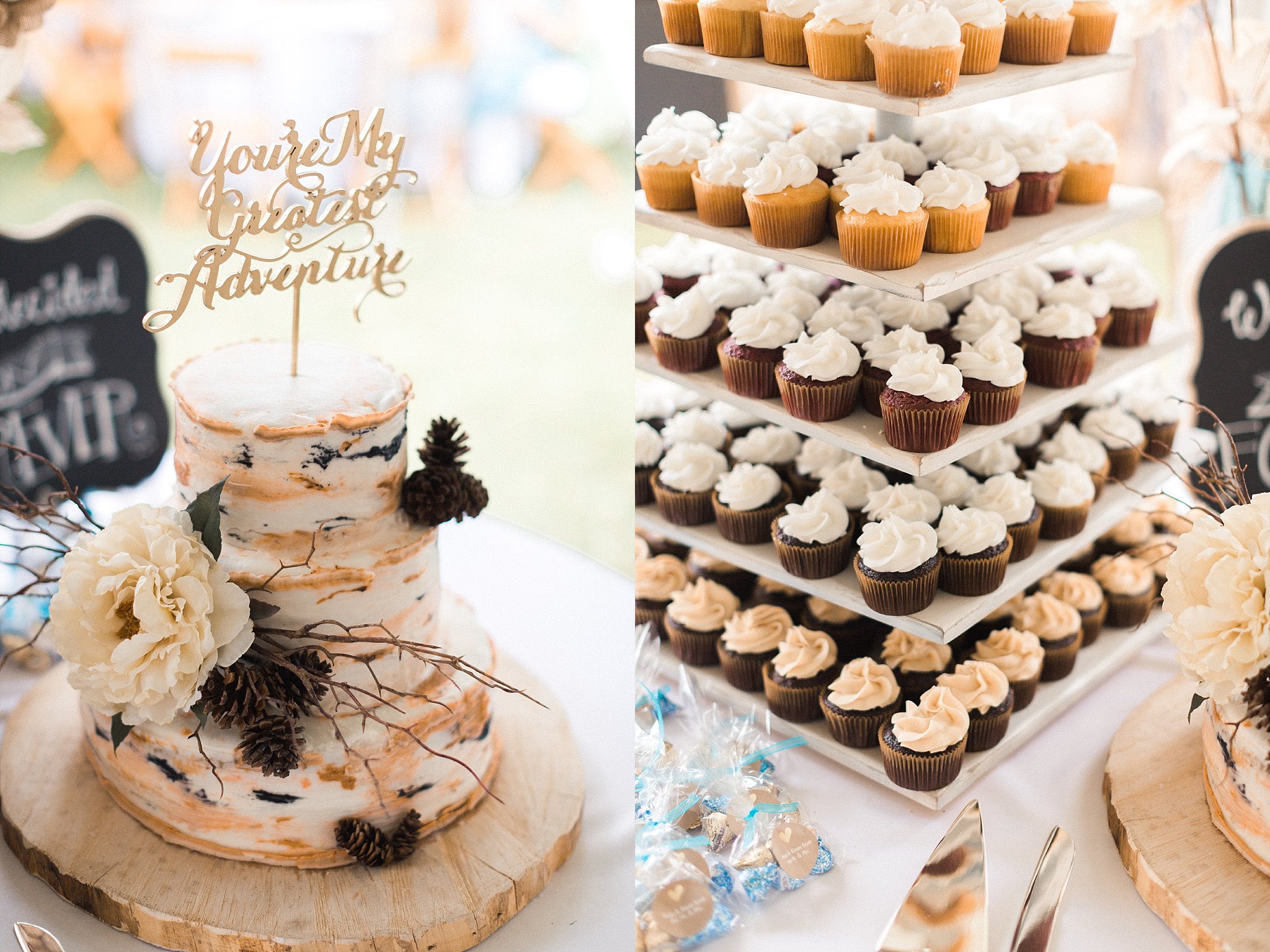 www.james-stokes.com | James Stokes Photography, LLC - rustic wedding cake and cupcakes photo by Wisconsin wedding photographer