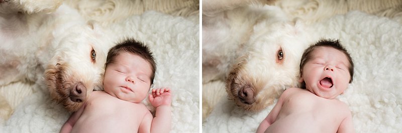 newborn photos with dog - Wisconsin newborn photographer - James Stokes Photography