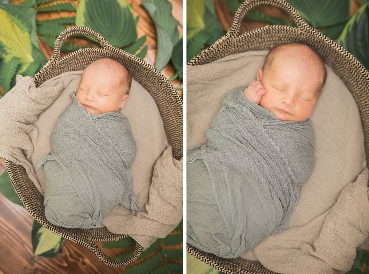 Newborn Baby in Basket 