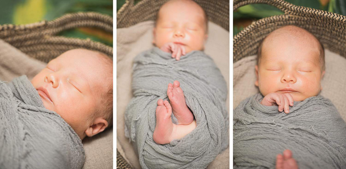 Newborn Baby in Basket 